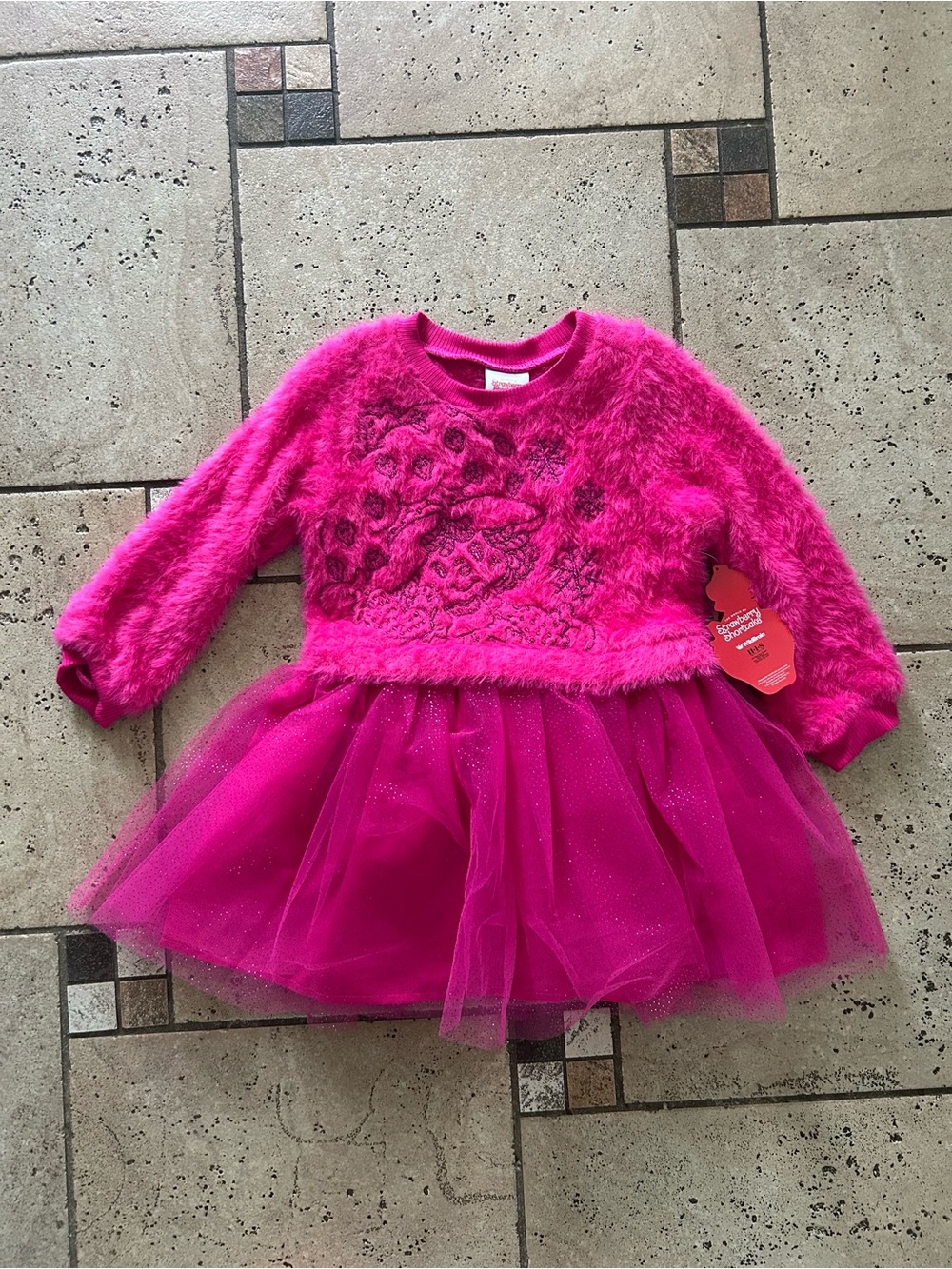 NWT Fuzzy Tulle Ballerina Dress with Embroidered strawberry shortcake